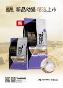 爵加新品幼貓精選上市！