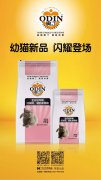 奧丁精品幼貓糧閃耀登場?。?！