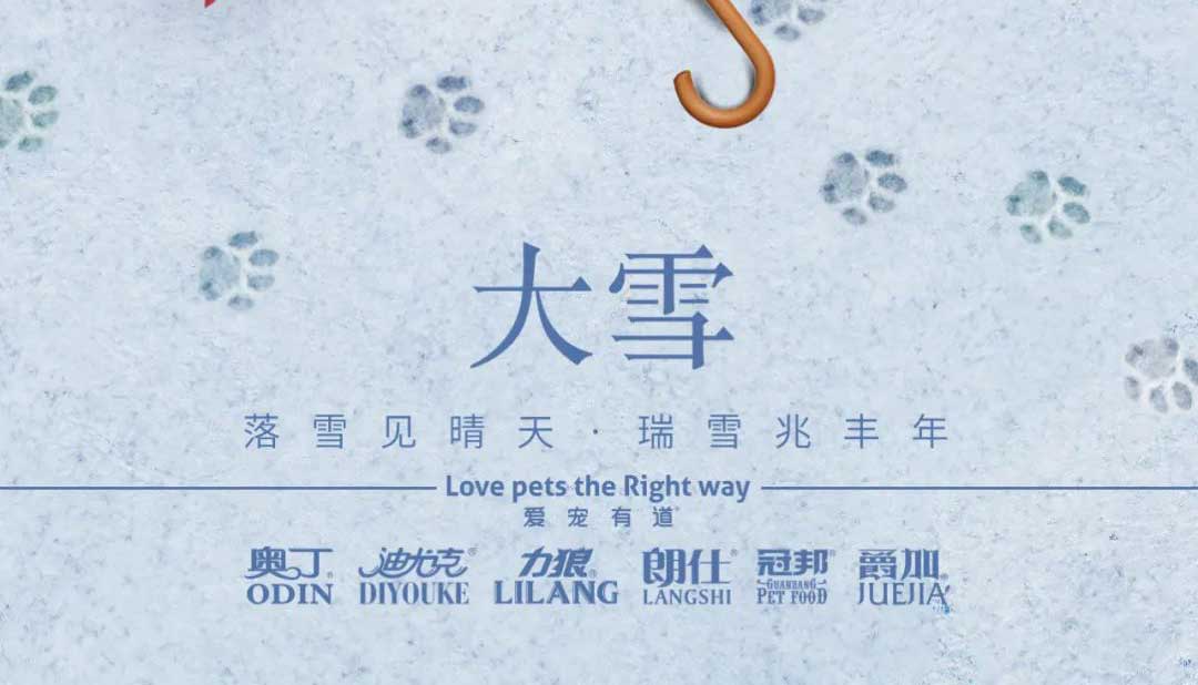 大雪丨雪落知寒意 久伴見初心！