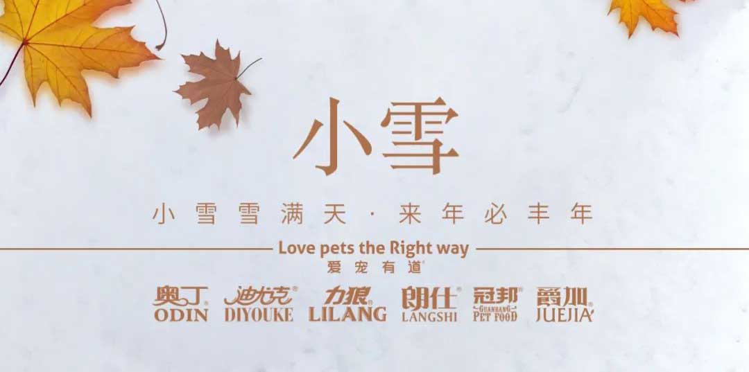 小雪丨天地初寒，歲月安暖